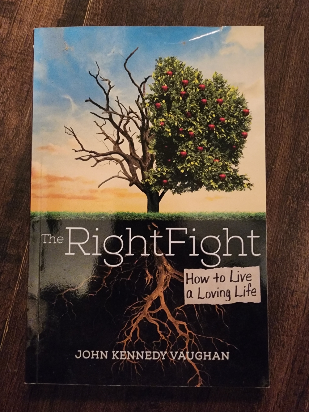 The Right Fight - How to Live a Loving Life By John Kennefy Vaughan